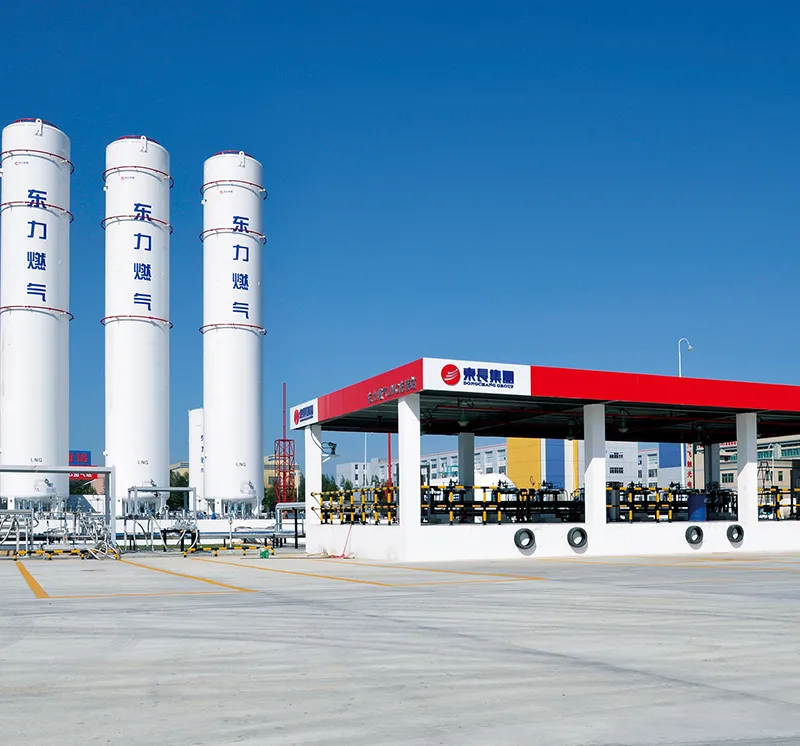 Lng Storage Tank