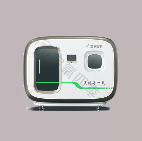 10 Liter Oxygen Concentrator Portable