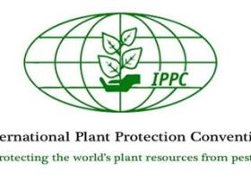 IPPC Phytosanitary Certificate for Wood Packaging